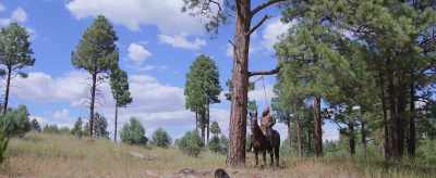 Lord, it's a
beautiful goddamn day. - Run for the High Country