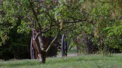Lord! Look who's coming! - Pride and Prejudice