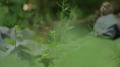 LORD ULTIMATELY CONFESSES
THAT HE BURIED DOE ROBERTS - Hometown Homicide