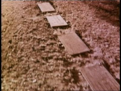 LORI SELWYN: It was
amazing to see all - Unsolved Mysteries