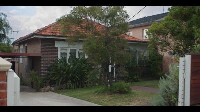 (LORIKEETS CHIRP) - Mr Inbetween