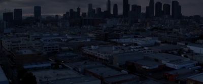 Los Angeles - The Fanatic