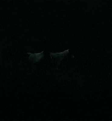 LOS ÚLTIMOS LO SINTIERON,
EN EL BOSQUE. - Sleep Has Her House