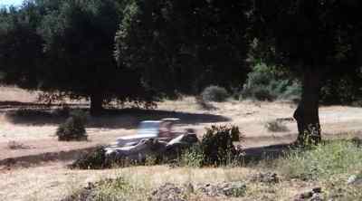 Lost Sheep to Shepherd.
Any sign of them? - The Dukes of Hazzard