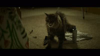 Louis: All right, there we go. - Pet Sematary
