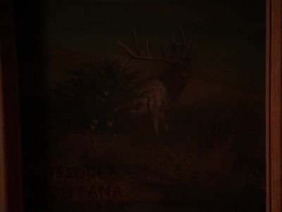 [LOUIS ARMSTRONG'S "WHAT A
WONDERFUL WORLD PLAYING"] - Twin Peaks