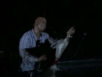 LOUSY BROAD. - Hawaii Five-0