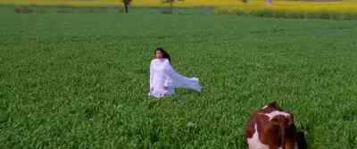 "Love is a crazy thing, my beloved" - Dilwale Dulhania Le Jayenge
