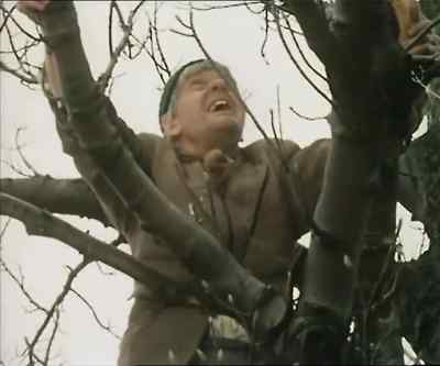 ♪ Love is a many splendored thing - Last of the Summer Wine
