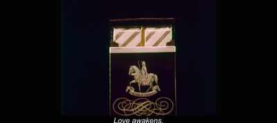 Love awakens. - The Most Beautiful Boy in the World