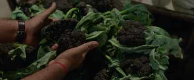 Love will not be stifled - Shubh Mangal Zyada Saavdhan