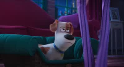 Love you, Maxie. - The Secret Life of Pets