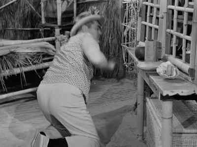 Lovey? Did you see-- I-- - Gilligan's Island