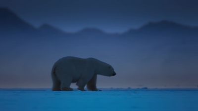 Low light cameras catch something unusual. - Earth at Night in Color