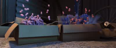 Ls there anything else l need to know? - Rio