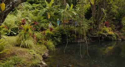Is this where the blue Avatar people live - Just Go with It
