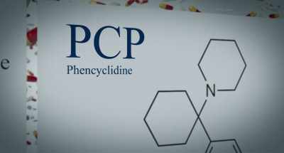 LSD, PCP, DMT, ketamine,
mescaline, salvia, - Trader