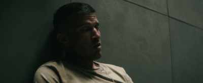 '‘Cause you said the...
the Latin was what? - The Abandon