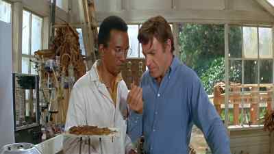 Lt burns, Howard... - Finian's Rainbow