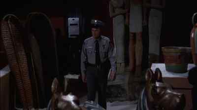 Lt. Callahan. - Police Academy 5: Assignment: Miami Beach