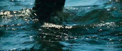 LT! I don't think that's a good idea. - Battleship