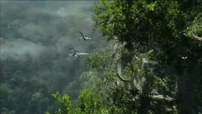 I was a ruthless flying hunter. - Avatar