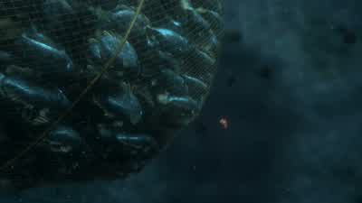 Just keep swimming Almost there. - Finding Nemo