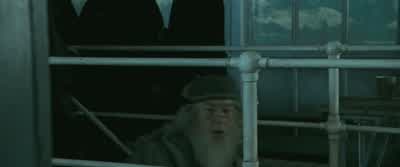 Krum! - Harry Potter and the Goblet of Fire
