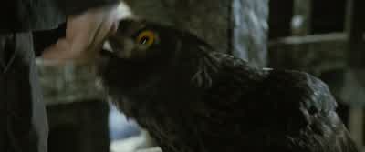 The bird bites. Aah. - Harry Potter and the Goblet of Fire