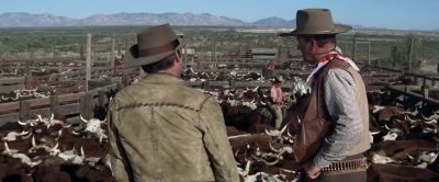 Lt's a lovely evening - McLintock!