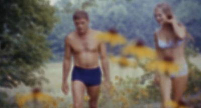This time of the year - The Swimmer