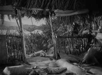 Luana! - Bird of Paradise