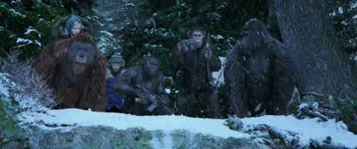 Luca, come. - War for the Planet of the Apes