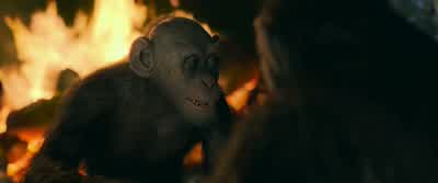Human get sickApe get smartThen human kill apeBut not meI run - War for the Planet of the Apes