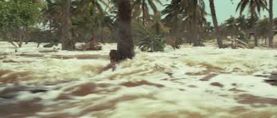 - Lucas! - Mom! - Lucas! - Help me! - The Impossible