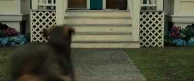 LUCAS: Okay, Bella,
this is very important. - A Dog's Way Home