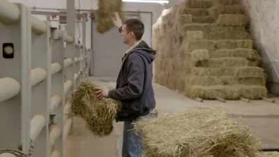 Luckily enough,
the barn's big enough - Secrets of the Zoo