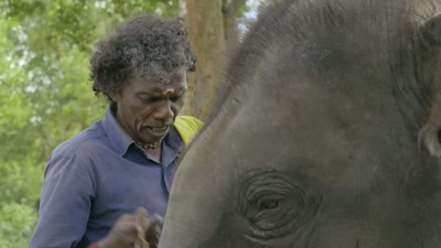 Luckily, I found it in the river! - The Elephant Whisperers