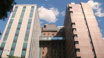Luckily for me,
I had the balls to take - Lenox Hill