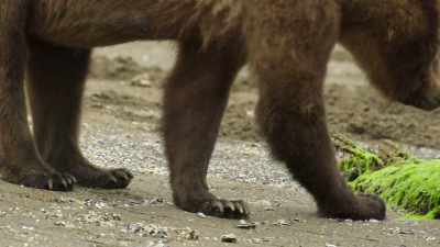 Luckily, now there are
no other distractions. - Wild Babies