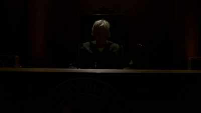 Luckily, there's one man - Gary Busey: Pet Judge