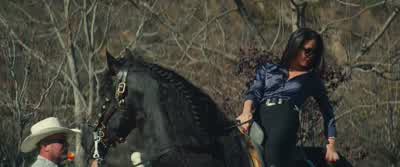 Lucky saddle. - Mortdecai