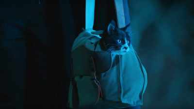 Lucy? Do I have nine lives? For real? - Scaredy Cats