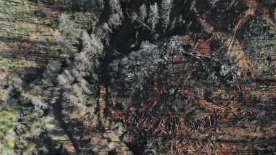LUCY: So is it too much logging
or too little logging? - Bring Your Own Brigade