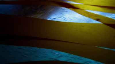 LUCY: The oceans provide us with oxygen, - Blue Planet II