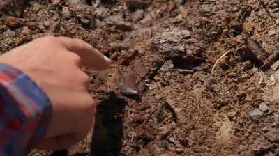 Luke: OH, YES, IT DOES.
YEAH, IT DEFINITELY DOES. - Dino Hunters