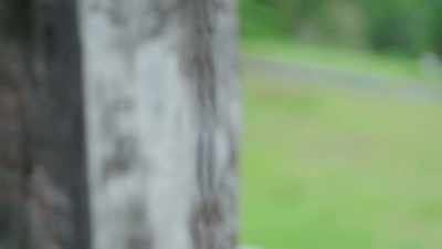 [Lukman] My profession
is a photographer, - Mysteries of the Abandoned
