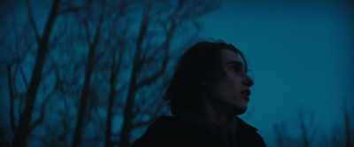 Lula! - The Thicket