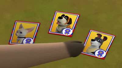 Luna, Bruce, and Fig. - The Chicken Squad