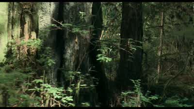 I've worked around predators since I was 20 years oldLions jackals hyenas you - The Lost World: Jurassic Park